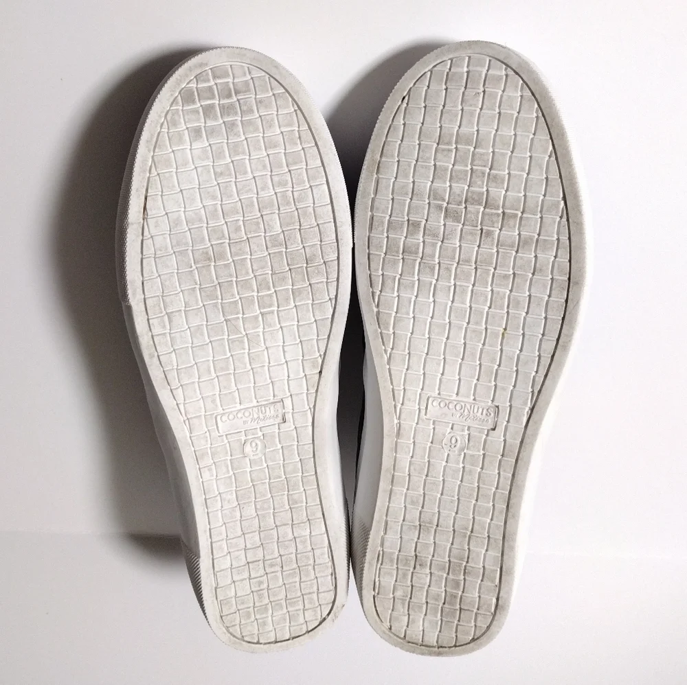 Coconuts by Matisse coconuts by